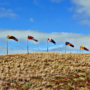 windsocks